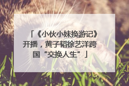 《小伙小妹换游记》开播，黄子韬徐艺洋跨国“交换人生”