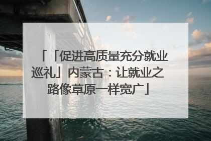 「促进高质量充分就业巡礼」内蒙古：让就业之路像草原一样宽广
