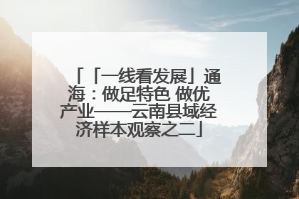 「一线看发展」通海：做足特色 做优产业——云南县域经济样本观察之二