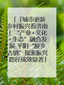 「城市更新 乡村振兴看济南」“产业+文化+生态”融合发展 平阴“胶乡古镇”探索振兴路径成效显著