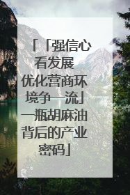 「强信心 看发展 优化营商环境争一流」一瓶胡麻油背后的产业密码