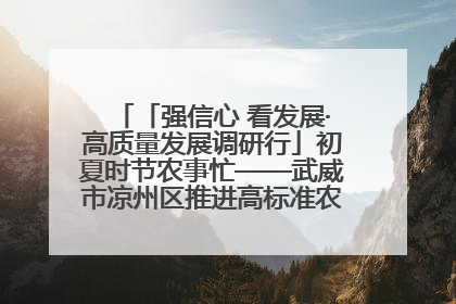 「强信心 看发展·高质量发展调研行」初夏时节农事忙——武威市凉州区推进高标准农田建设见闻