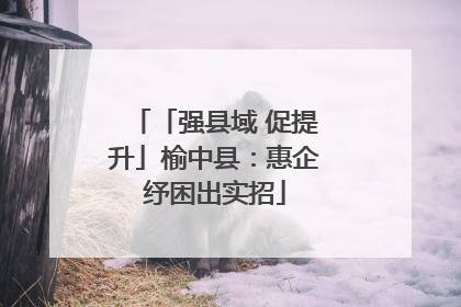 「强县域 促提升」榆中县：惠企纾困出实招
