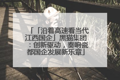 「沿着高速看当代江西国企」黑猫集团：创新驱动，奏响瓷都国企发展新乐章