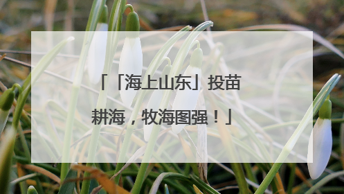 「海上山东」投苗耕海，牧海图强！