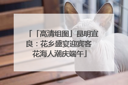「高清组图」昆明宜良：花乡盛宴迎宾客 花海人潮庆端午
