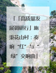 「高质量发展调研行」施秉花山村：奏响“红”与“绿”交响曲