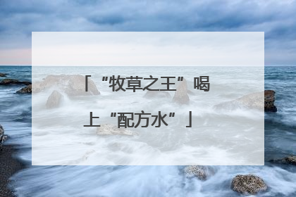 “牧草之王”喝上“配方水”