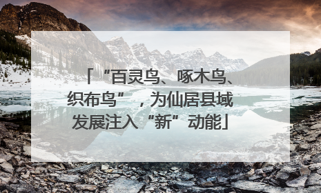 “百灵鸟、啄木鸟、织布鸟”，为仙居县域发展注入“新”动能