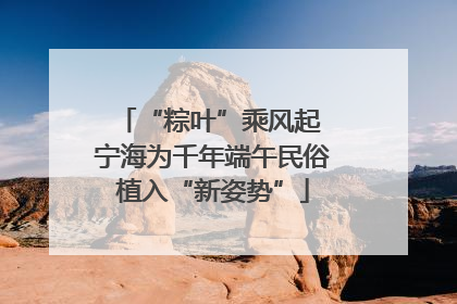 “粽叶”乘风起 宁海为千年端午民俗植入“新姿势”