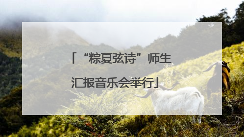 “粽夏弦诗”师生汇报音乐会举行