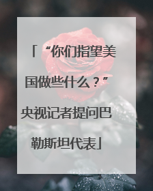 “你们指望美国做些什么？”央视记者提问巴勒斯坦代表