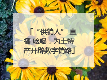 “供销人” 直播 吆喝，为土特产开辟数字销路