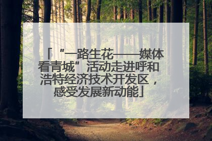 “一路生花——媒体看青城”活动走进呼和浩特经济技术开发区，感受发展新动能