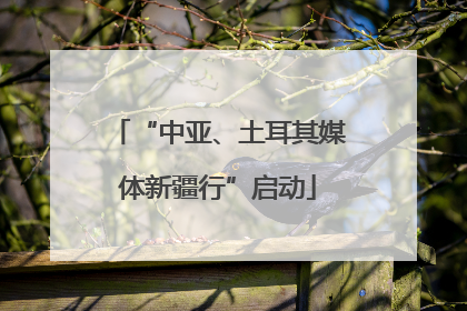 “中亚、土耳其媒体新疆行”启动