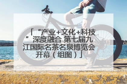 “产业+文化+科技”深度融合 第七届九江国际名茶名泉博览会开幕（组图）