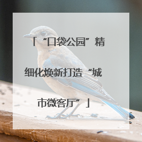 “口袋公园”精细化焕新打造“城市微客厅”