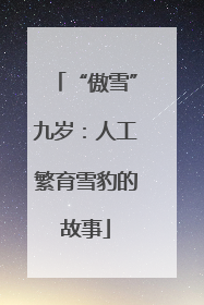 “傲雪”九岁：人工繁育雪豹的故事