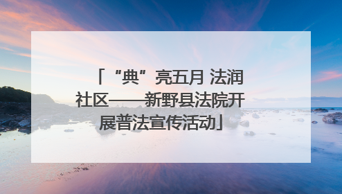 “典”亮五月 法润社区——新野县法院开展普法宣传活动