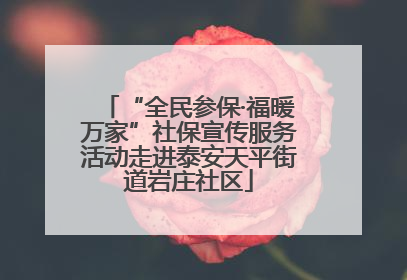 “全民参保·福暖万家”社保宣传服务活动走进泰安天平街道岩庄社区
