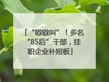 “嗷嗷叫”！多名“85后”干部，挂职企业补短板
