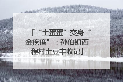 “土蛋蛋”变身“金疙瘩”：孙伯镇西程村土豆丰收记