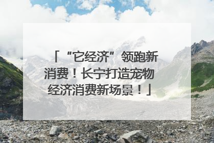 “它经济”领跑新消费！长宁打造宠物经济消费新场景！
