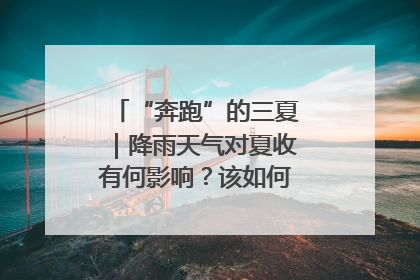“奔跑”的三夏｜降雨天气对夏收有何影响？该如何防范？一文了解