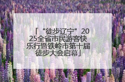 “徒步辽宁”2025全省市民游客快乐行暨铁岭市第十届徒步大会启幕