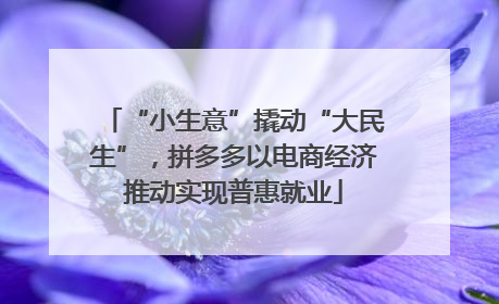 “小生意”撬动“大民生”，拼多多以电商经济推动实现普惠就业
