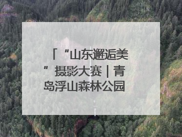 “山东邂逅美”摄影大赛｜青岛浮山森林公园花海引客来