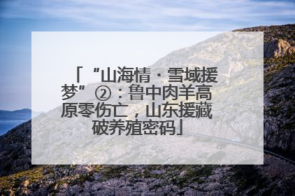 “山海情・雪域援梦”②：鲁中肉羊高原零伤亡，山东援藏破养殖密码