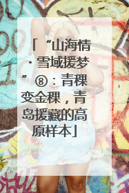 “山海情・雪域援梦”⑧：青稞变金稞，青岛援藏的高原样本