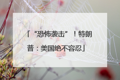 “恐怖袭击”！特朗普：美国绝不容忍