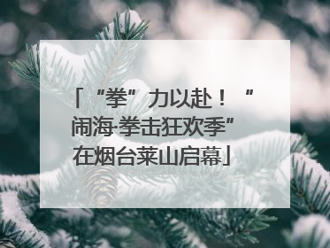 “拳”力以赴！“闹海·拳击狂欢季”在烟台莱山启幕
