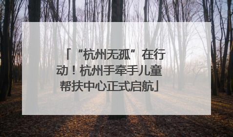 “杭州无孤”在行动！杭州手牵手儿童帮扶中心正式启航