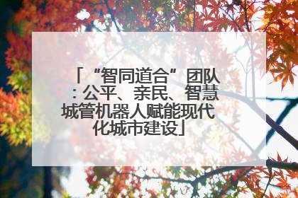 “智同道合”团队：公平、亲民、智慧城管机器人赋能现代化城市建设