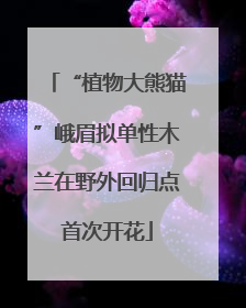 “植物大熊猫”峨眉拟单性木兰在野外回归点首次开花