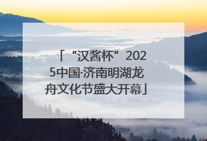 “汉酱杯”2025中国·济南明湖龙舟文化节盛大开幕