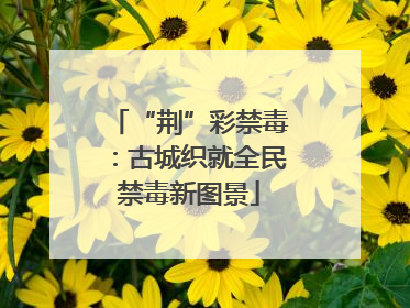 “荆”彩禁毒：古城织就全民禁毒新图景