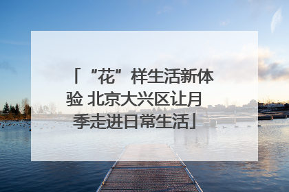 “花”样生活新体验 北京大兴区让月季走进日常生活