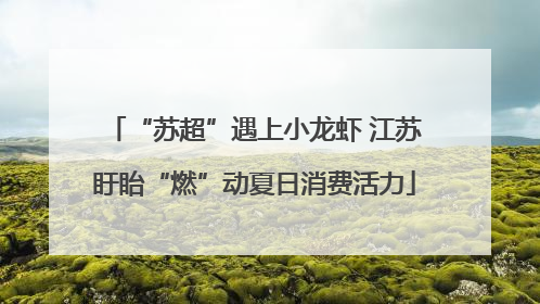 “苏超”遇上小龙虾 江苏盱眙“燃”动夏日消费活力