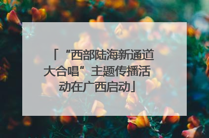“西部陆海新通道大合唱”主题传播活动在广西启动