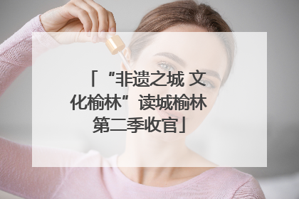“非遗之城 文化榆林”读城榆林第二季收官