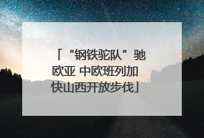 “钢铁驼队”驰欧亚 中欧班列加快山西开放步伐