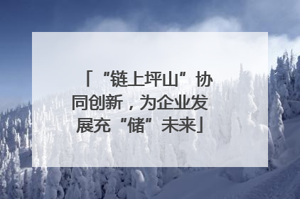 “链上坪山”协同创新，为企业发展充“储”未来