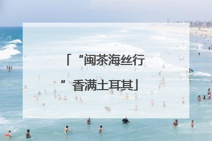 “闽茶海丝行”香满土耳其
