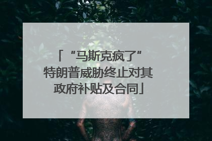 “马斯克疯了” 特朗普威胁终止对其政府补贴及合同
