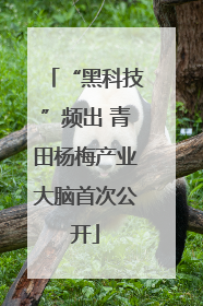 “黑科技”频出 青田杨梅产业大脑首次公开