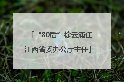 “80后”徐云涌任江西省委办公厅主任